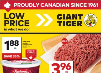 Giant Tiger Weekly Ad Mar 26 – Apr 01, 2025 (Easter Day Promotion Included)