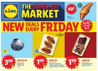 Lidl Weekly Ad Apr 24 – May 01, 2025