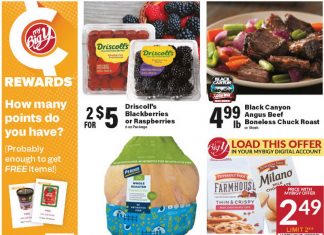 Big Y Weekly Ad Apr 24 – Apr 30, 2025