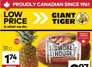 Giant Tiger Weekly Ad Apr 16 – Apr 22, 2025 (Easter Day Promotion Included)