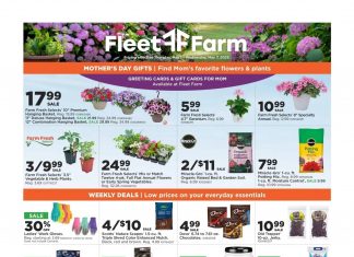 Fleet Farm Weekly Ad May 01 – May 07, 2025