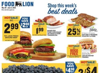 Food Lion Weekly Ad May 28 – Jun 03, 2025