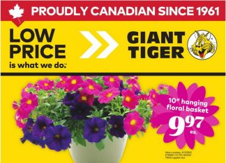 Giant Tiger Weekly Ad May 07 – May 13, 2025 (Mother’s Day Promotion Included)