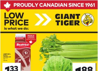 Giant Tiger Weekly Ad May 28 – Jun 03, 2025