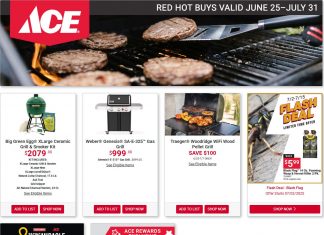 ACE Hardware Monthly Ad Jun 25 – Jul 31, 2025