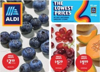 ALDI Weekly Ad Jun 04 – Jun 10, 2025
