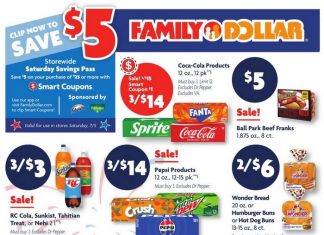 Family Dollar Weekly Ad Jun 29 – Jul 05, 2025 (4th of July Promotion Included)
