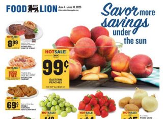 Food Lion Weekly Ad Jun 04 – Jun 10 2025