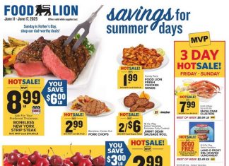 Food Lion Weekly Ad Jun 11 – Jun 17, 2025 (Father’s Day Promotion Included)