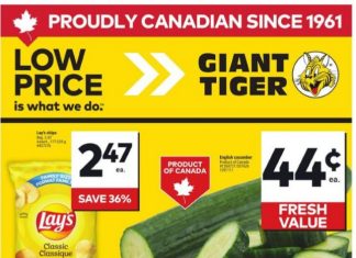 Giant Tiger Weekly Ad Jun 18 – Jun 24, 2025