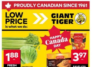 Giant Tiger Weekly Ad Jun 25 – Jul 01, 2025