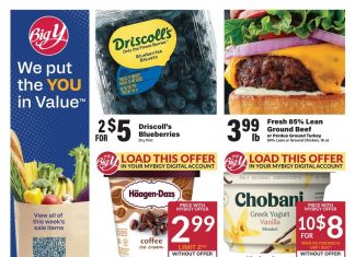 Big Y Weekly Ad Jul 31 – Aug 06, 2025