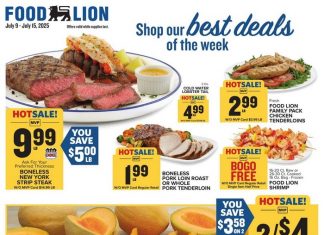Food Lion Weekly Ad Jul 09 – Jul 15, 2025