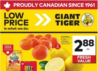 Giant Tiger Weekly Ad Jul 02 – Jul 08, 2025