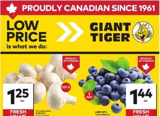 Giant Tiger Weekly Ad Jul 23 – Jul 29, 2025