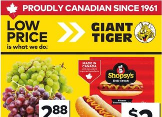 Giant Tiger Weekly Ad Jul 30 – Aug 05, 2025