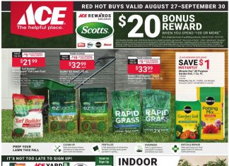 ACE Hardware Monthly Ad Aug 27 – Sep 30, 2025