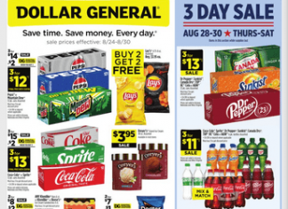 Dollar General Weekly Ad Aug 24 – Aug 30, 2025