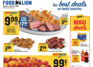 Food Lion Weekly Ad Aug 13 – Aug 19, 2025