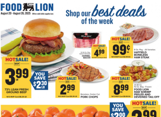 Food Lion Weekly Ad Aug 20 – Aug 26, 2025