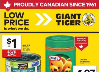 Giant Tiger Weekly Ad Aug 13 – Aug 19, 2025
