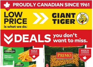 Giant Tiger Weekly Ad Aug 20 – Aug 26, 2025
