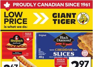 Giant Tiger Weekly Ad Aug 27 – Sep 02, 2025