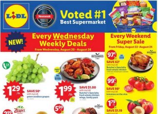 Lidl Weekly Ad Aug 20 – Aug 26, 2025
