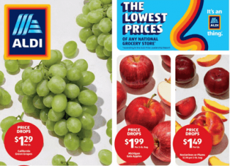 ALDI Weekly Ad Sep 10 – Sep 16, 2025 (Halloween Promotion Included)