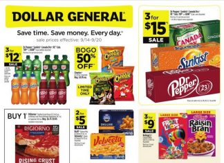 Dollar General Weekly Ad Sep 14 – Sep 20, 2025 (Halloween Promotion Included)