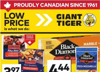 Giant Tiger Weekly Ad Sep 03 – Sep 09, 2025