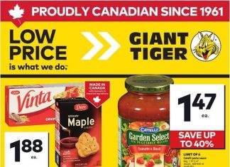 Giant Tiger Weekly Ad Sep 10 – Sep 16, 2025 (Halloween Promotion Included)