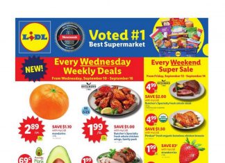 Lidl Weekly Ad Sep 10 – Sep 16, 2025 (Halloween Promotion Included)