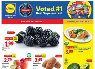 Lidl Weekly Ad Oct 01 – Oct 07, 2025 (Halloween Promotion Included)