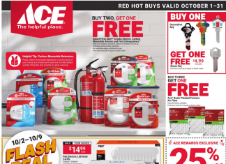 ACE Hardware Monthly Ad Oct 01 – Oct 31, 2025 (Halloween Promotion Included)