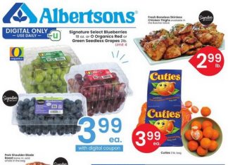 Albertsons Weekly Ad Oct 15 – Oct 21, 2025