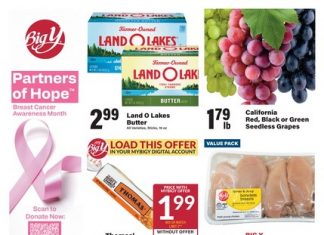 Big Y Weekly Ad Oct 09 – Oct 15, 2025 (Halloween Promotion Included)