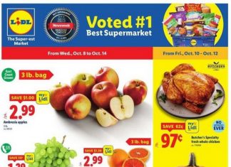 Lidl Weekly Ad Oct 08 – Oct 14, 2025