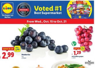 Lidl Weekly Ad Oct 15 – Oct 21, 2025
