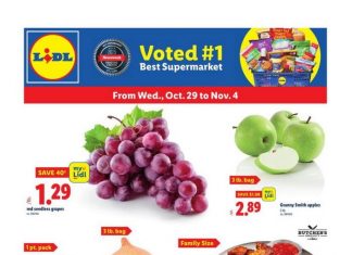 Lidl Weekly Ad Oct 29 – Nov 04, 2025