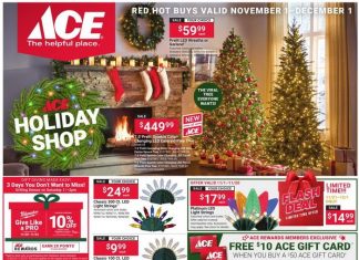 ACE Hardware Monthly Ad Nov 01 – Dec 01, 2025