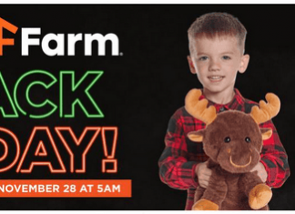 Fleet Farm Black Friday Ad Nov 26 – Nov 29, 2025