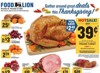 Food Lion Weekly Ad Nov 19 – Nov 27, 2025 (Thanksgiving Promotion Included)