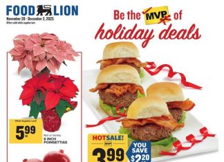 Food Lion Weekly Ad Nov 28 – Dec 02, 2025