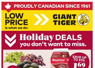 Giant Tiger Weekly Ad Nov 05 – Nov 11, 2025