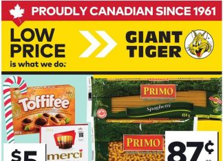 Giant Tiger Weekly Ad Nov 19 – Nov 25, 2025 (Black Friday Promotion Included)