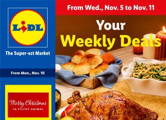 Lidl Weekly Ad Nov 05 – Nov 11, 2025 (Black Friday Promotion Included)