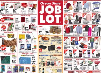 Ocean State Job Lot Weekly Ad Nov 20 – Nov 26, 2025