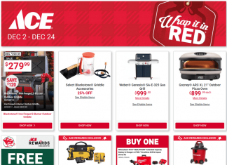 ACE Hardware Monthly Ad Dec 02 – Dec 24, 2025