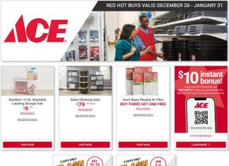 ACE Hardware Monthly Ad Dec 26, 2025 – Jan 31, 2026